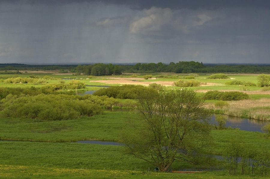 Agroturystyka Carski Trakt Wizna Экстерьер фото
